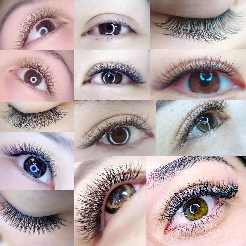 5 Cases YY Shape Black  C/D Curl Eyelashes Extensions Two Tip Lashes  High Quality Makeup Warehouse