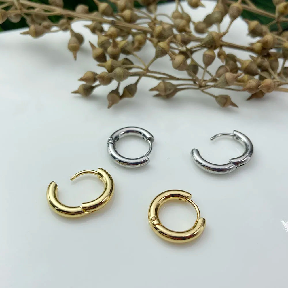 Earring For Women Zircon Cartilage Piercing Drop Earring Ear Hoop Stainless Steel Rook Lobe Jewelry Gift